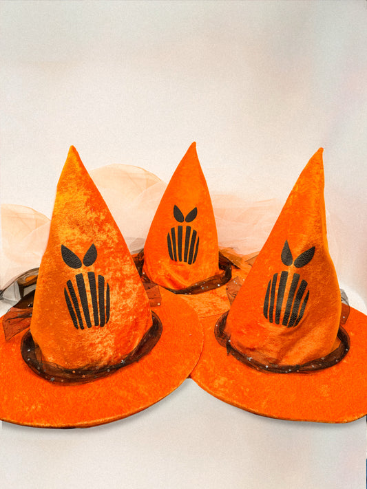 Sha-BOO Spooky Cone Witch Hat